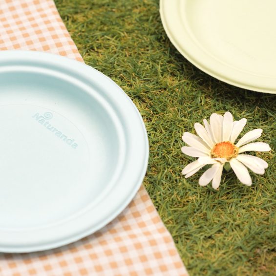 stoviglie-monouso-polpa-cellulosa